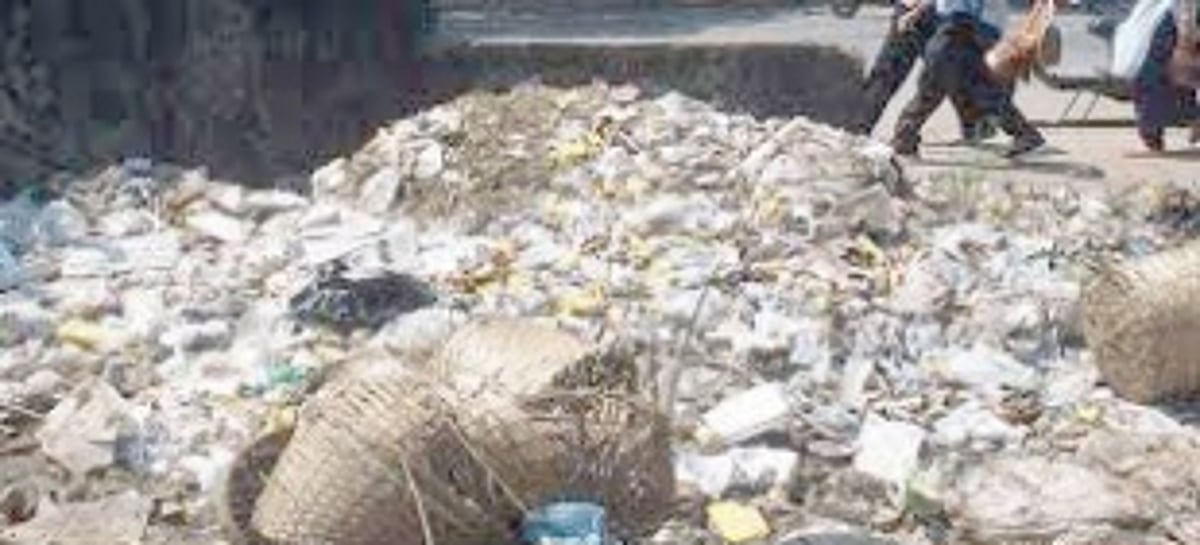 South Goa needs 250-tonne  garbage plant: minister