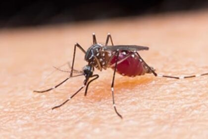 South Goa steps up fight against malaria and dengue