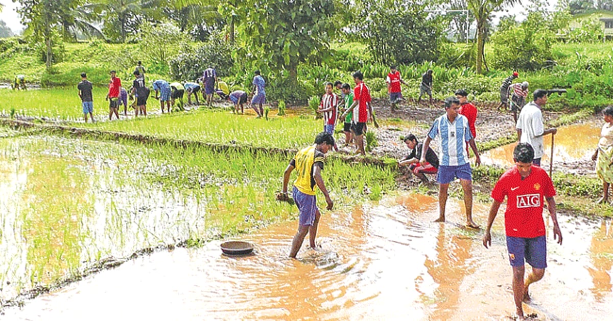 Sowing operation in the backyard of Rachol seminary by seminarians, priests and local people.