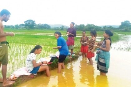 Sowing seeds of change: Fr Michael Pereira guides Goan youth back to agriculture