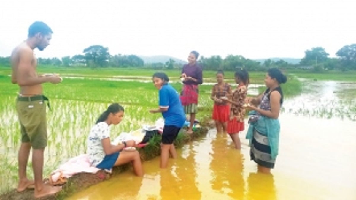 Sowing seeds of change: Fr Michael Pereira guides Goan youth back to agriculture