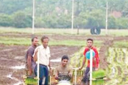 Sowing the  seeds of love