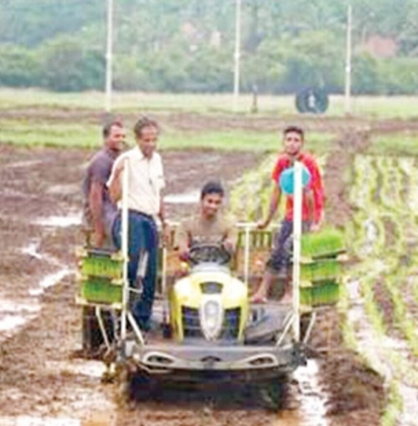 Sowing the  seeds of love