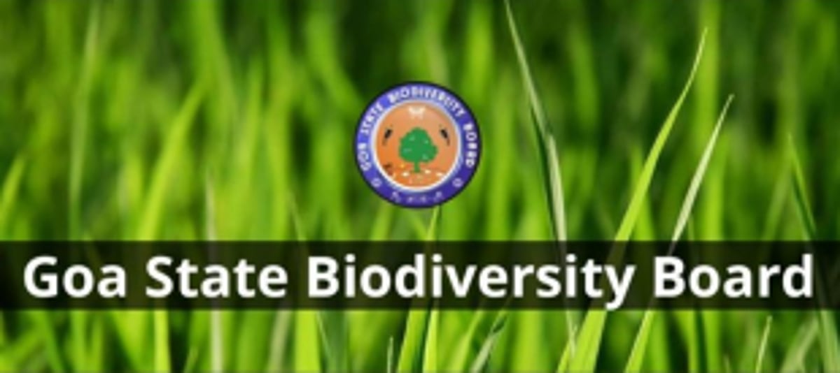 Special meeting resolves to request for inclusion of springs and Khazan land as heritage areas