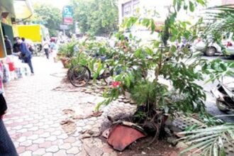 Spruce up City footpath  on 18th June Road