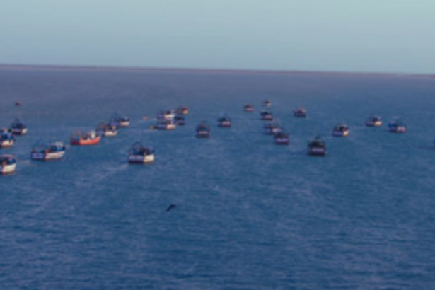 Sri Lankan Navy Detains Indian Fishermen for Alleged Poaching: Tensions Escalate