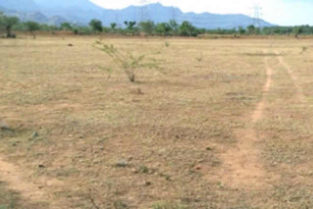 St Cruz ex-sarpancha’s construction  application kept on hold