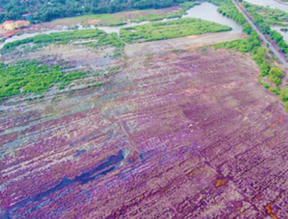 St Estevam local shares experience in bringing  fallow khazan lands back to cultivation