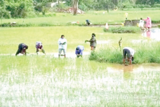 St Inez Creek strangles & chokes the farms of Taleigao