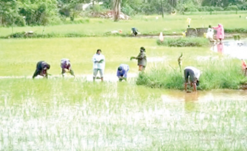 St Inez Creek strangles & chokes the farms of Taleigao