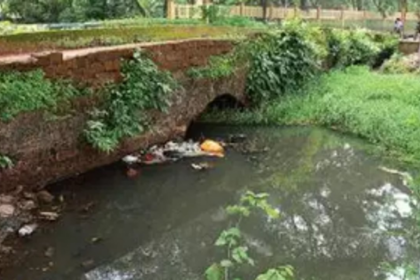 St Inez Creek to be rejuvenated under PULL