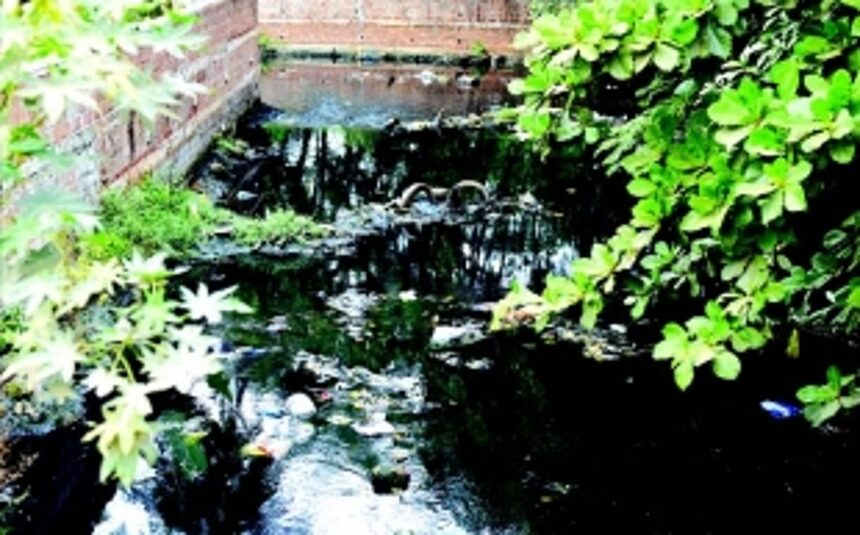 St Inez creek still choked, contaminated with raw sewage