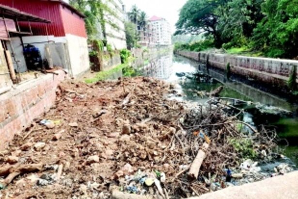 St Inez creek still in peril; will it ever be able to breathe easy, ask Ponjekars