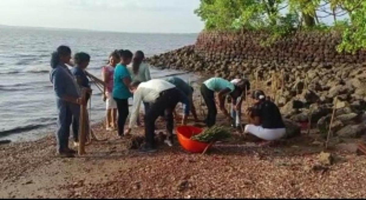 St. Joseph Vaz College students take the initiative to plant mangroves at Sancoale bay