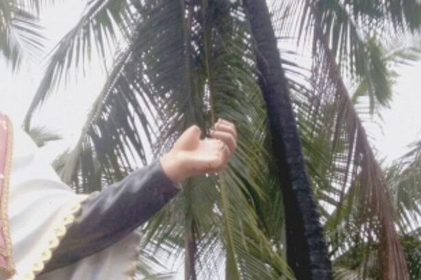 St Joseph Vaz statue desecrated, parish priest’s car damaged at Assonora