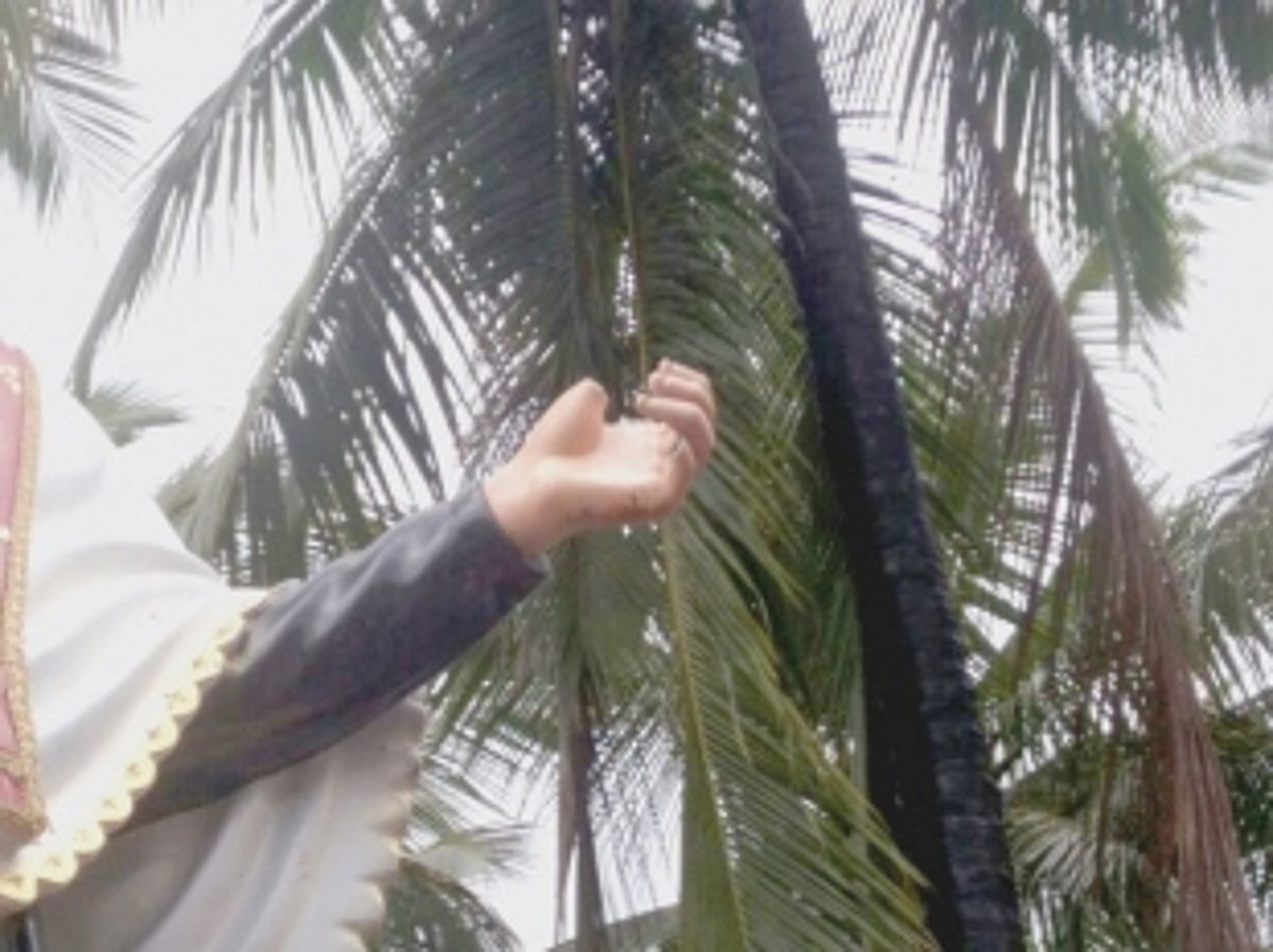 St Joseph Vaz statue desecrated, parish priest’s car damaged at Assonora