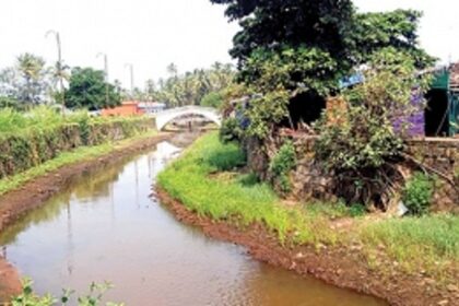 S**t is floating in the Colva creek but does no one really know where it’s coming from?