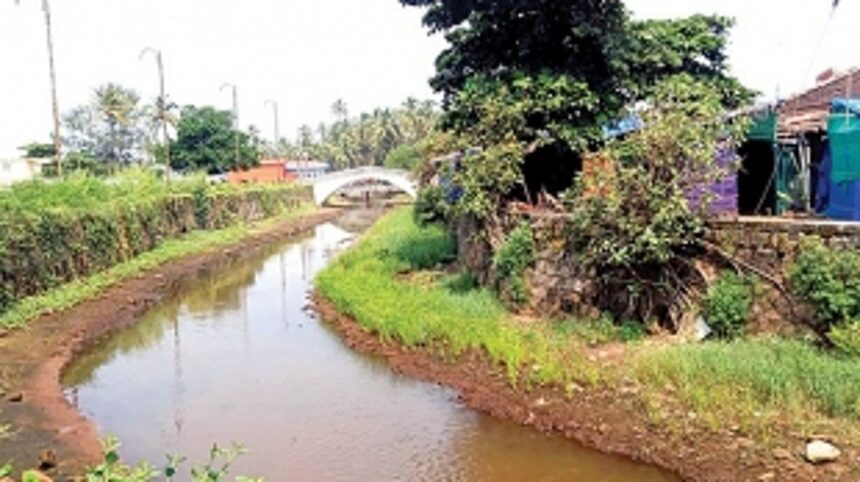 S**t is floating in the Colva creek but does no one really know where it’s coming from?