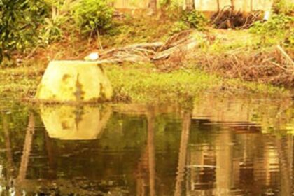 Stagnant sewage waters in the low lying fields of Old Market, Margao.