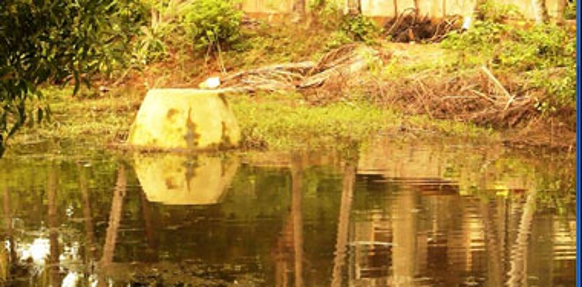 Stagnant sewage waters in the low lying fields of Old Market, Margao.
