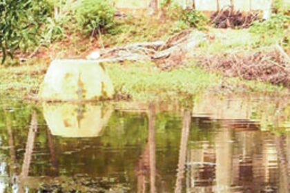 Stagnant water near the old market is facilitating the breeding of mosquitoes.