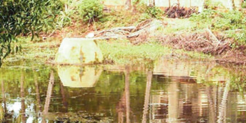 Stagnant water near the old market is facilitating the breeding of mosquitoes.