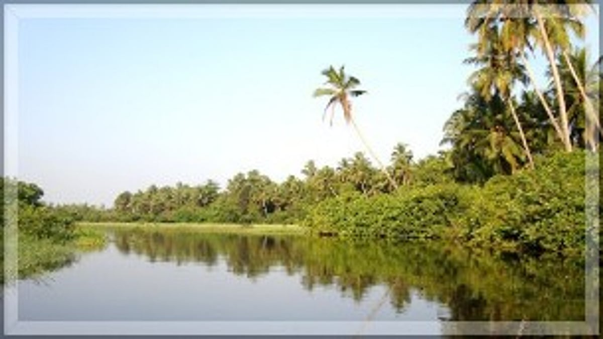 Stakeholders Urge Government to Prioritize River Sal Training Wall Amid Delays