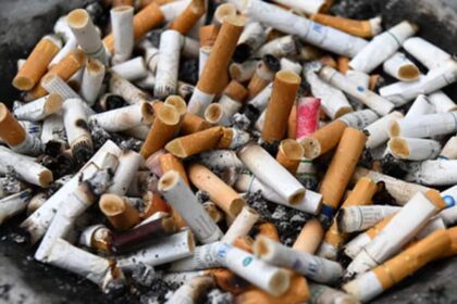 Stakeholders unite in the battle against tobacco