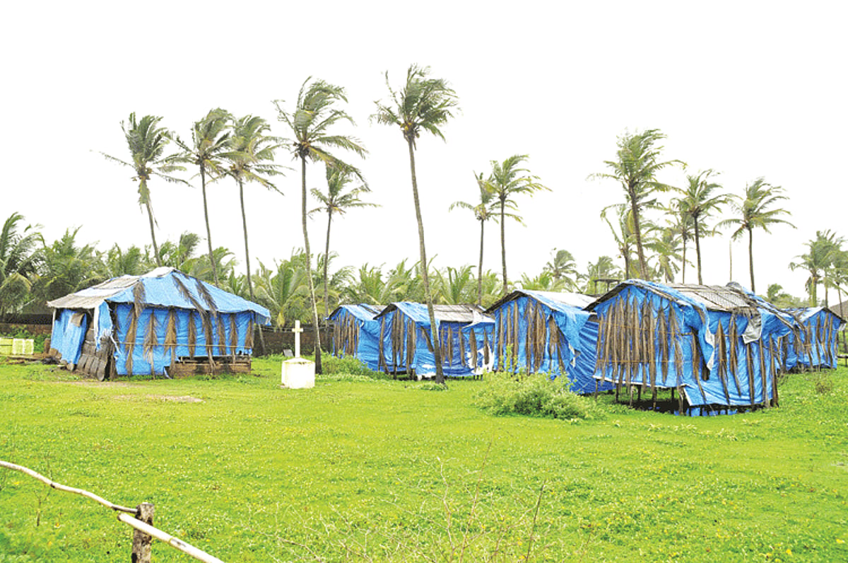 Standing tall: Shacks at Morjim, which are not dismantled