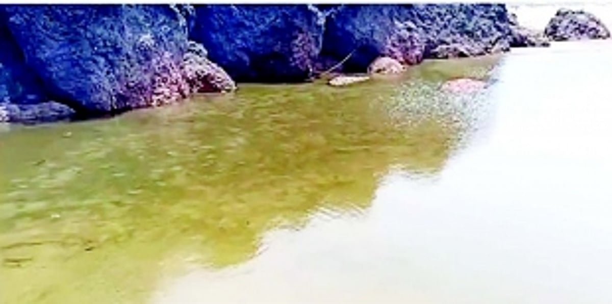 Starred hotel accused of polluting Vagator beach with sewage discharge