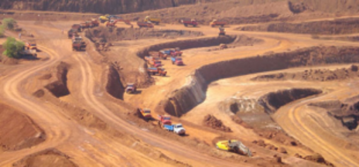 Start mining, Sena urges govt