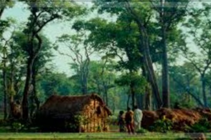 State Government Intensifies Action on Pending Forest Settlement Rights