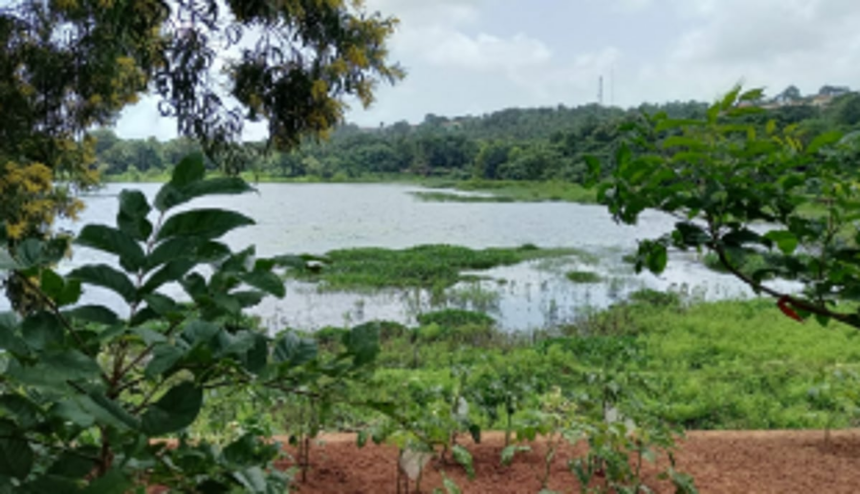 State Wetland Authority notifies seven new water bodies as wetlands