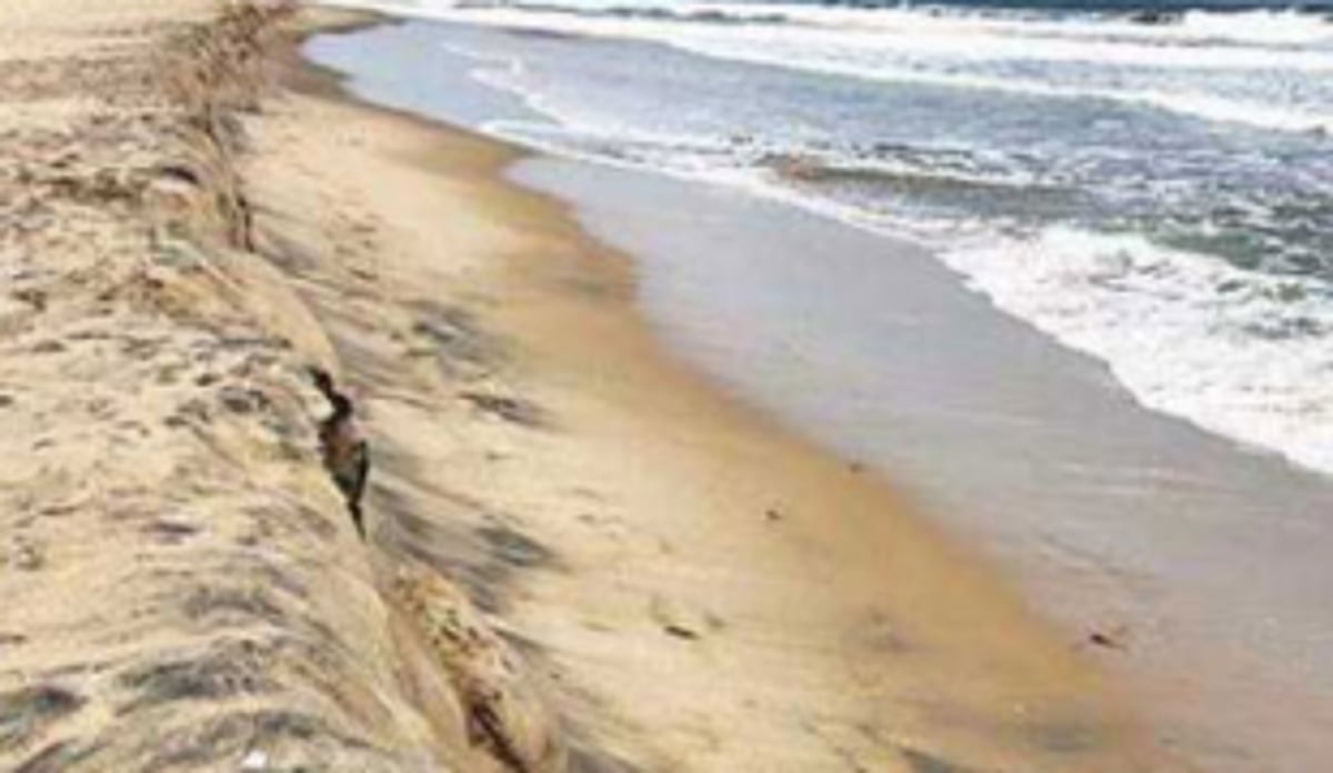 State confident of NCZMA decision on port limits deletion to come in its favour