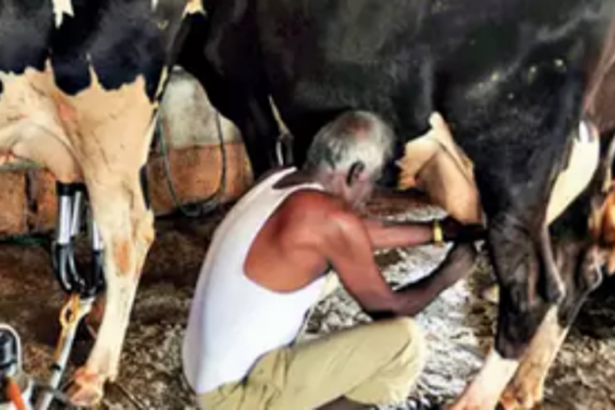 State dairy farmers, milk producing societies enter the tax bracket