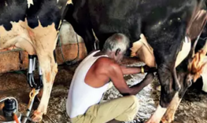 State dairy farmers, milk producing societies enter the tax bracket