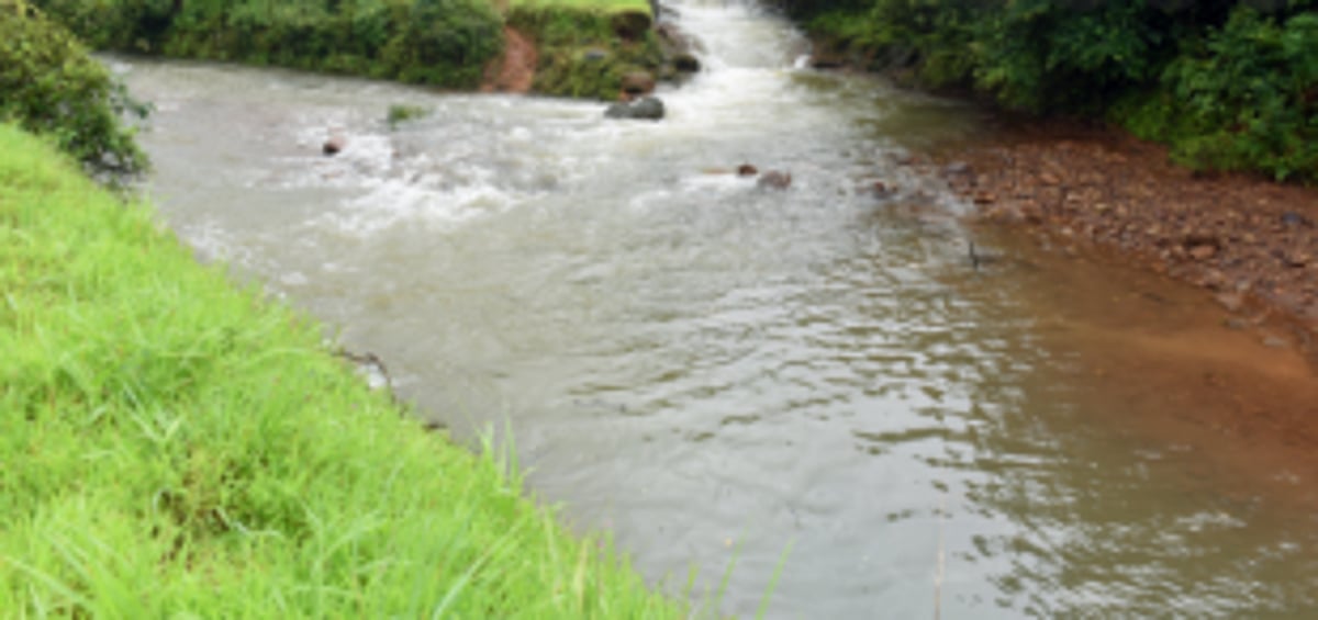 State forms special  Mhadei cell under WRD