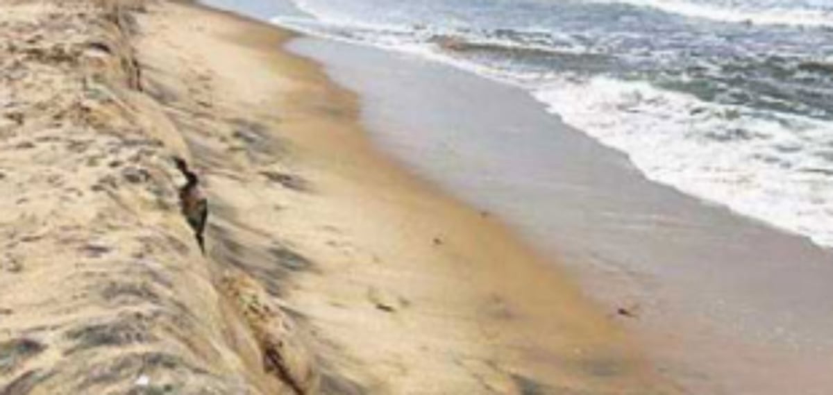 State gears up for CZMP hearing on July 8