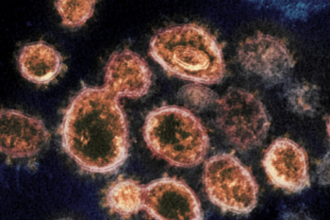 State government in a tizzy as lady on  Dubai-Goa-Bangalore flight tests positive