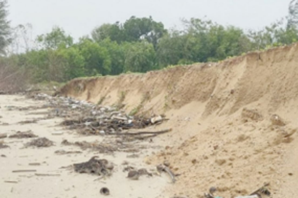 State may try Dutch technique of sand nourishment to fight coastal erosion