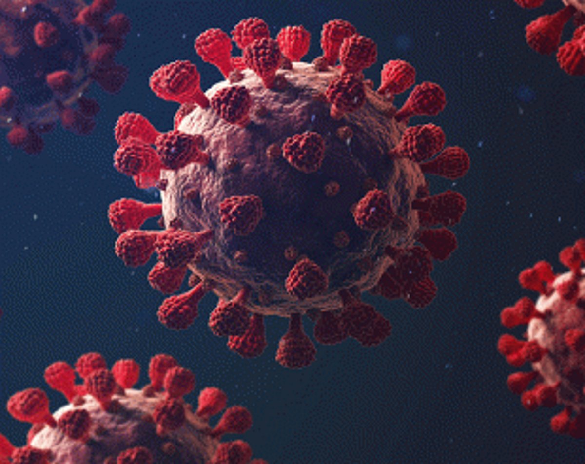 State records  171 Covid  deaths in Jan