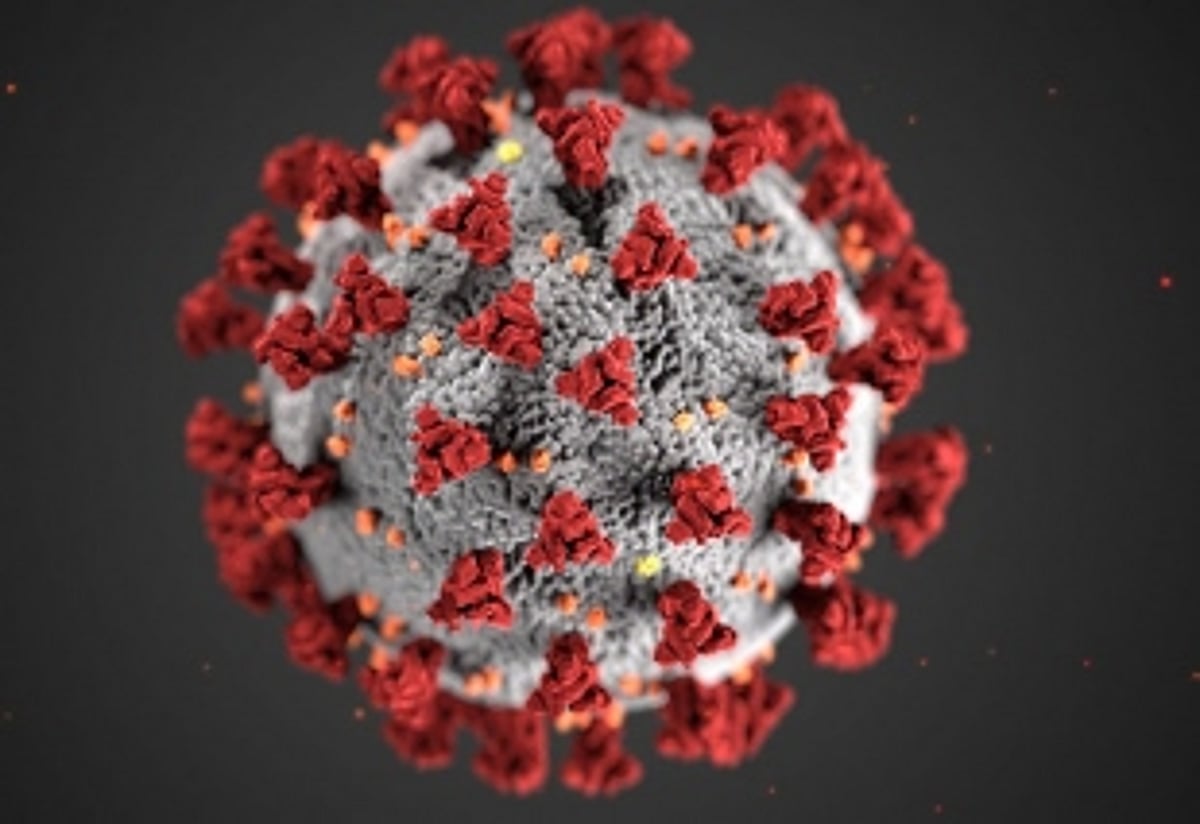 State reports 1,922 new cases in 24 hrs