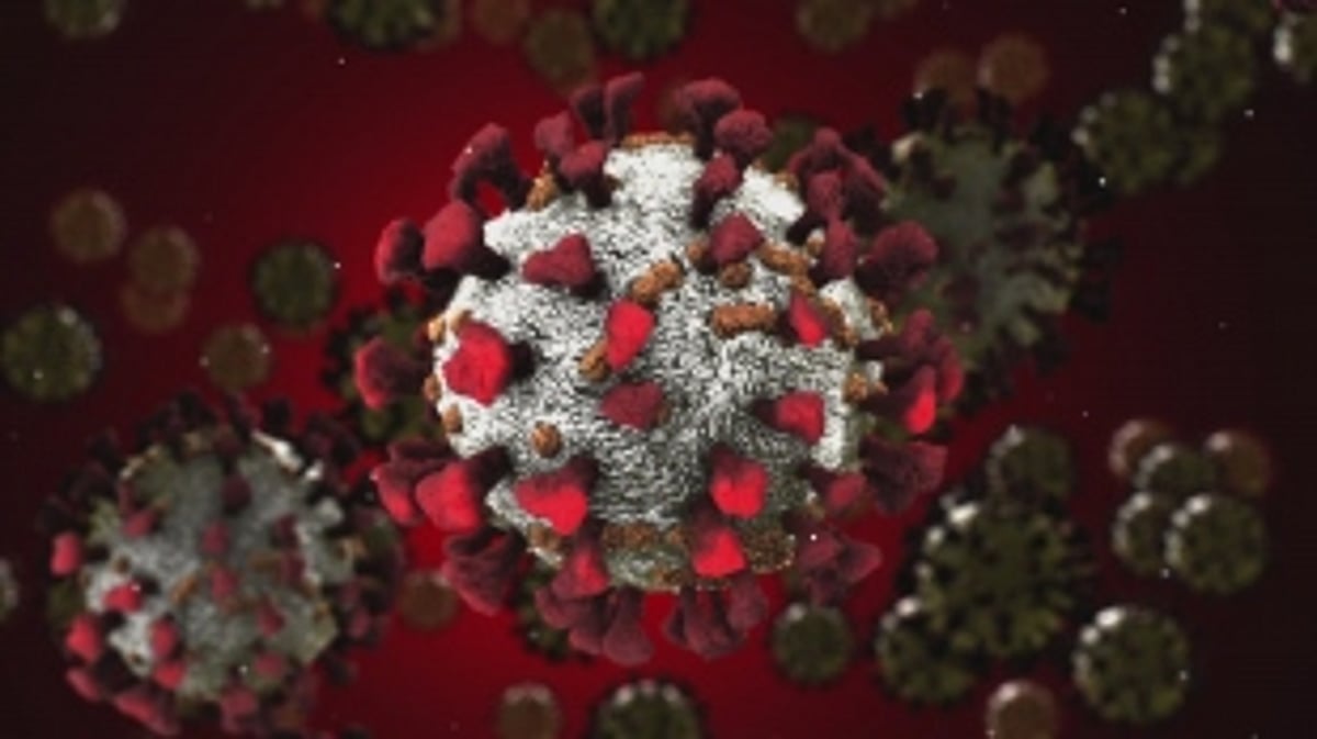 State reports record 951 cases,   11 deaths in single day on Sun