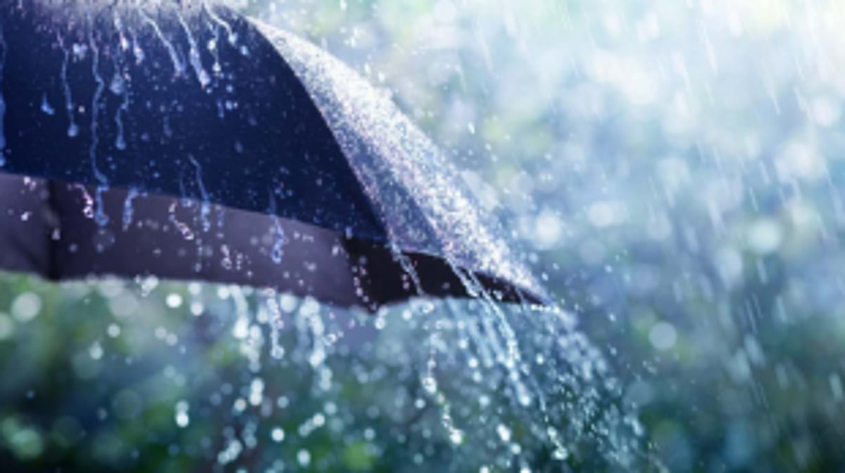 State to receive more showers from March 23