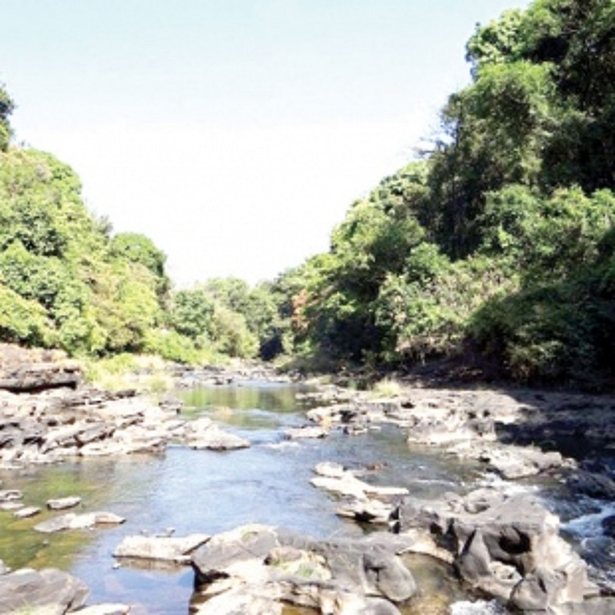 State to seek interim stay on Mhadei tribunal award