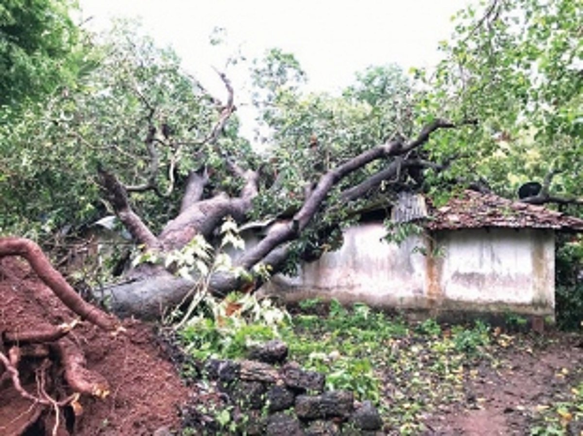 State witnesses heavy rainfall, strong winds