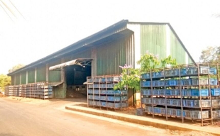 Stench from wet waste returns to haunt Patto residents 1 Stench from wet waste returns to haunt Patto residents