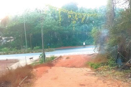 Steps taken to reduce accidents at Khadpaband-Kavlem junction