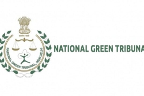 Stern rebuke: NGT pulls up Goa’s coastal watchdog for playing truant at hearings again