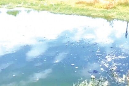 Stinking fish waste sullies agri fields in Sao Jose de Areal, farmers suffer skin diseases